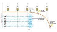 Using ‘Unscheduled’ Oil Analysis for Early Predictive Maintenance 